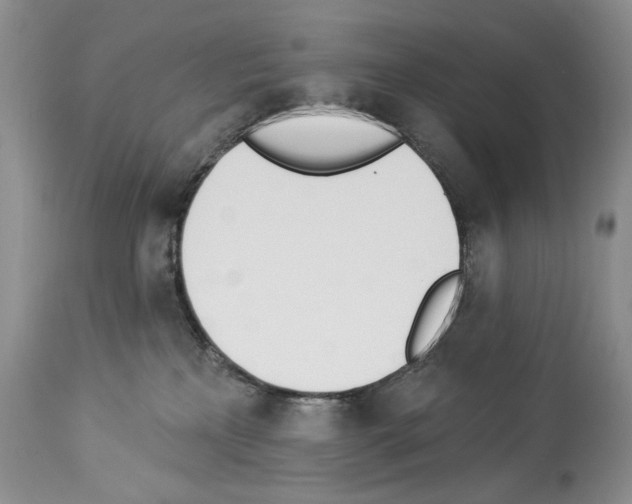 X0000112840233200910021115