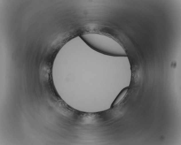 X0000112840235200910021115