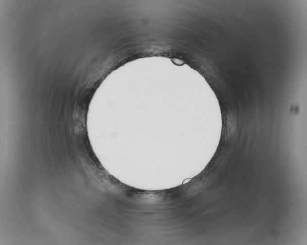 X0000112840236200910021115