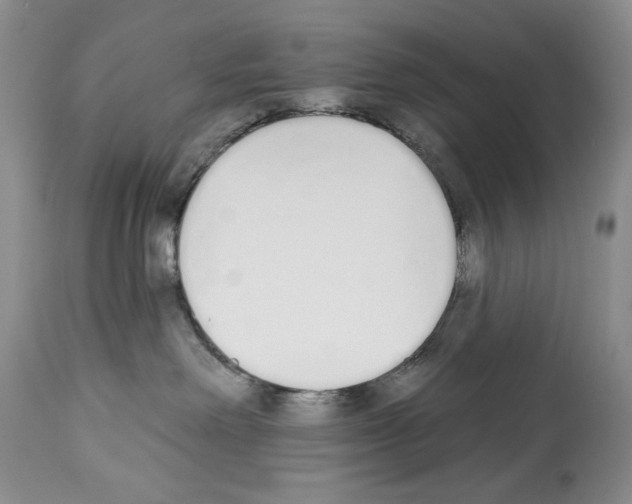 X0000112840238200910021115