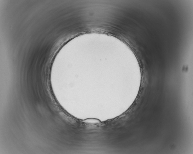 X0000112840241200910021114