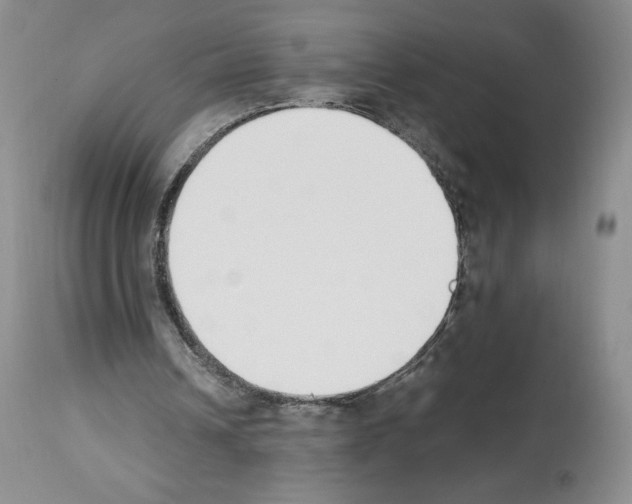 X0000112840242200910021114