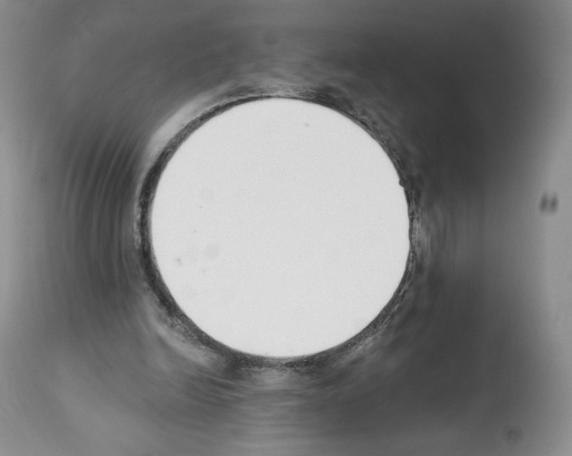 X0000112840246200910021114