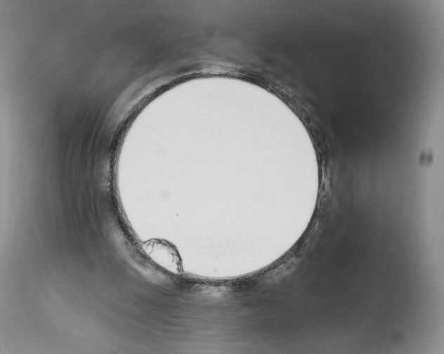 X0000112840247200910021114