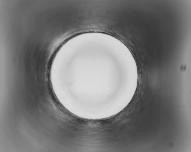 X0000112840248200910021114