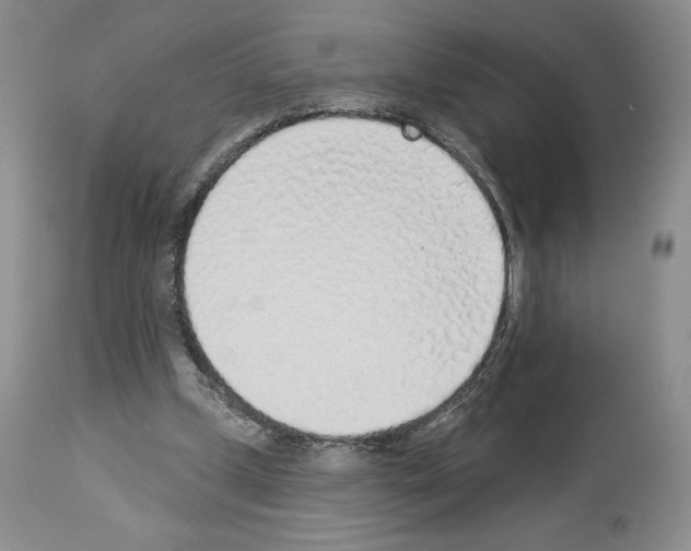 X0000112840249200910021114