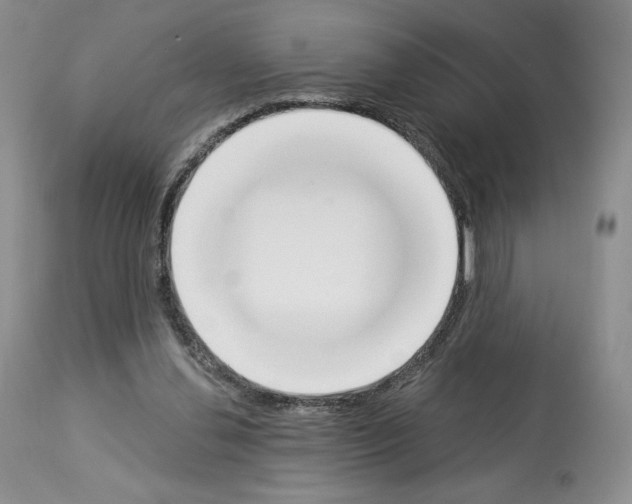 X0000112840252200910021114