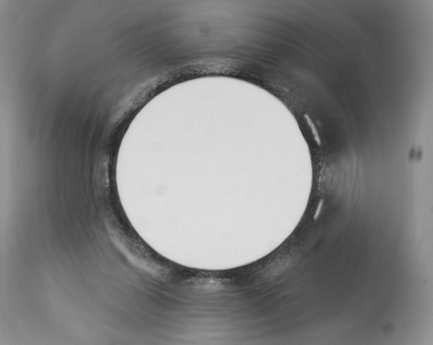 X0000112840254200910021114