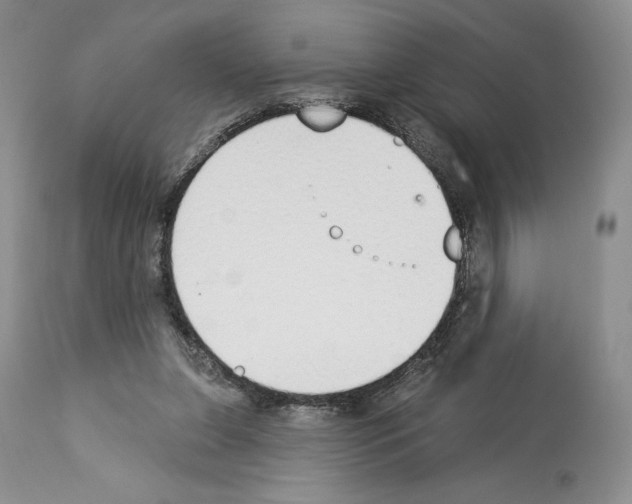 X0000112840255200910021114