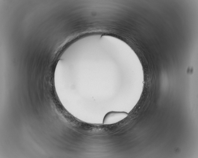 X0000112840256200910021114