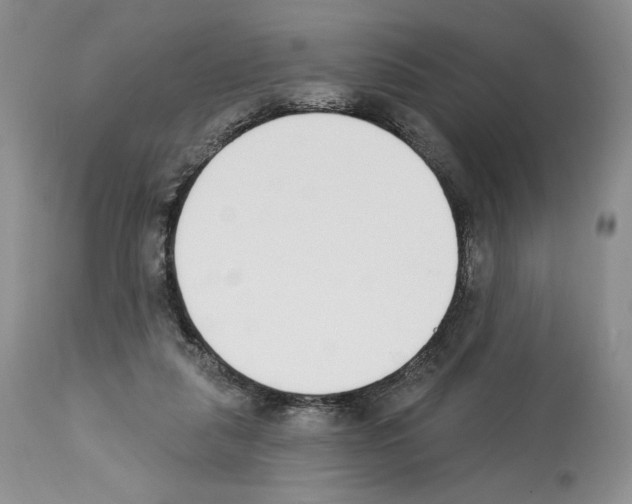 X0000112840259200910021114