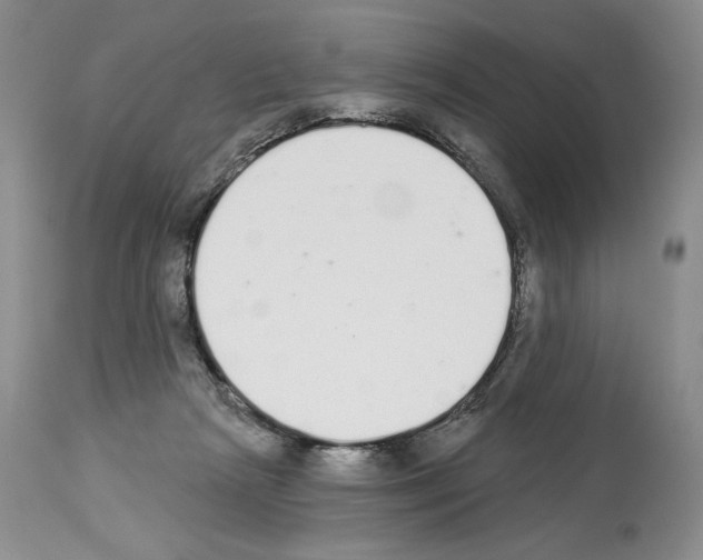 X0000112840265200910021114