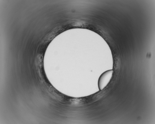 X0000112840273200910021114