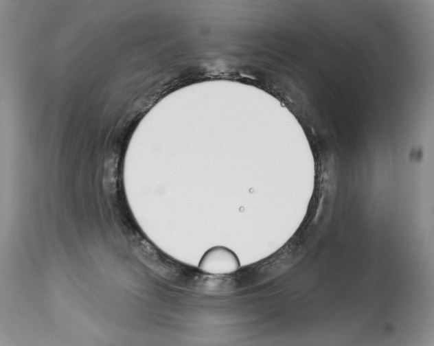 X0000112840275200910021114