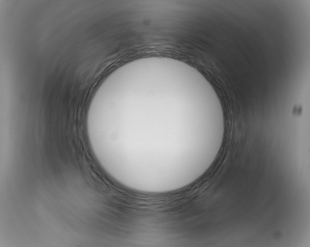 X0000112840276200910021114