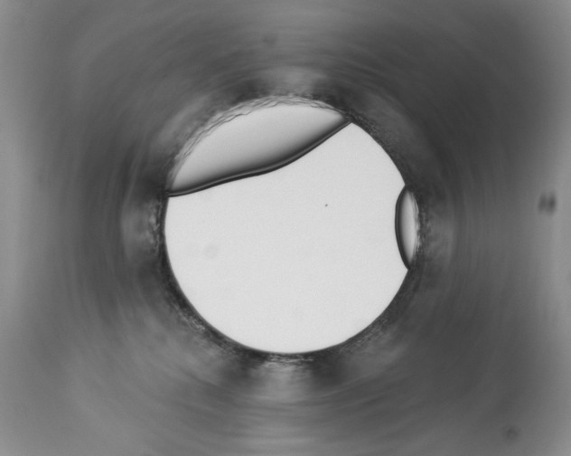 X0000112840280200910021114