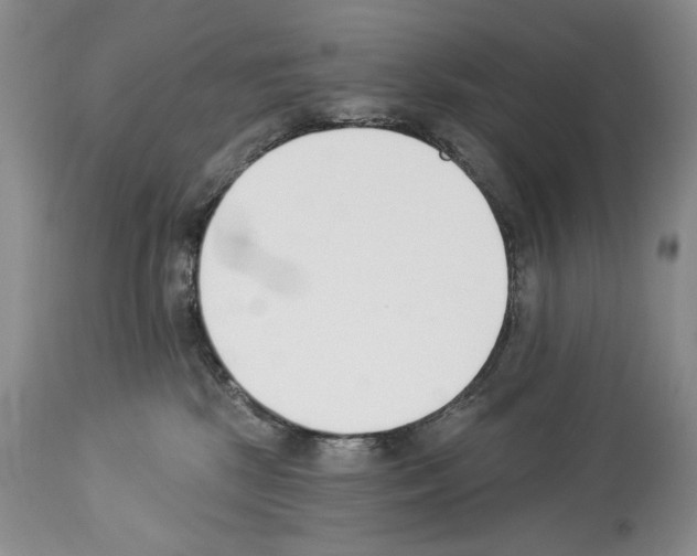 X0000112840281200910021114