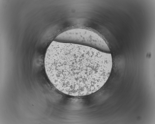 X0000112840284200910021114