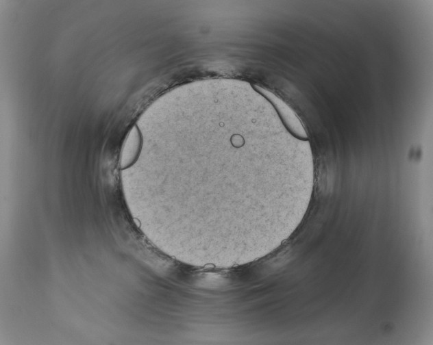 X0000112840285200910021114