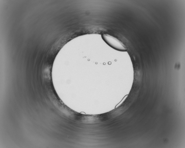 X0000112840286200910021114