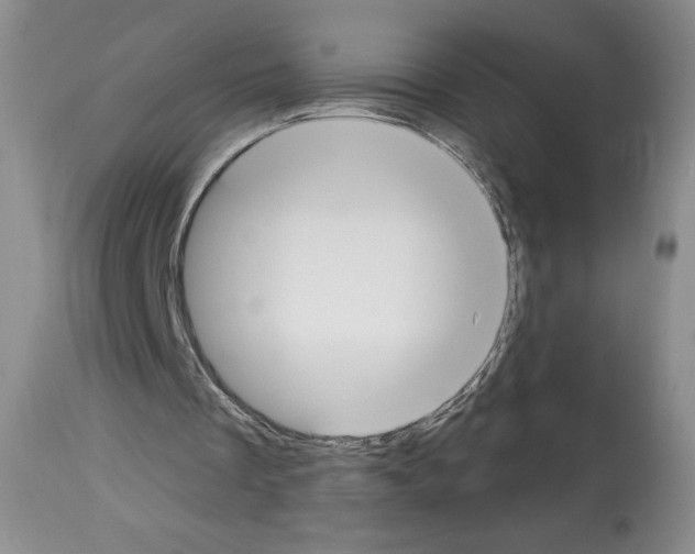 X0000112840289200910021114