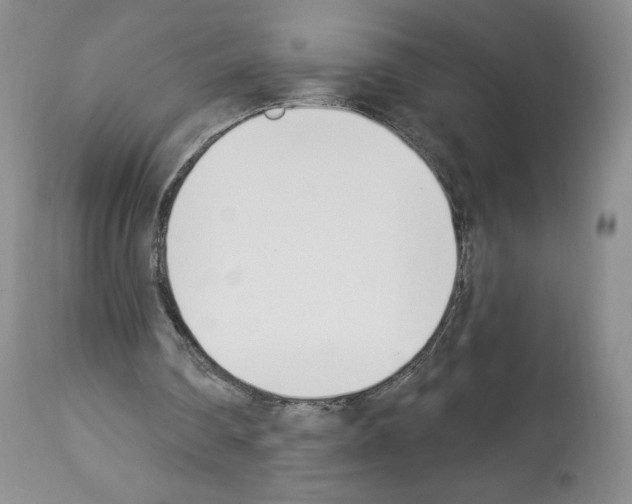 X0000112840290200910021114