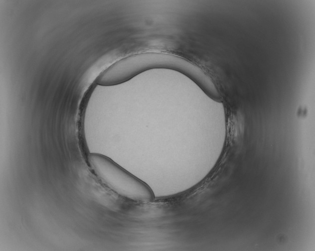 X0000112840292200910021114