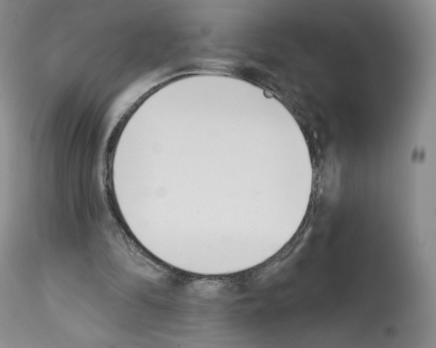 X0000112840294200910021114