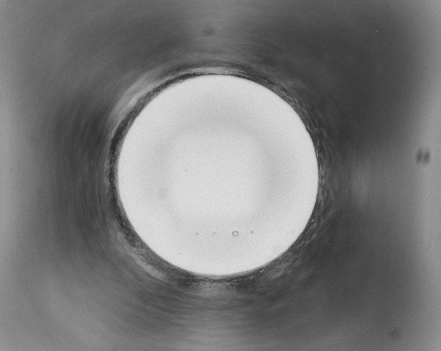 X0000112840296200910021114