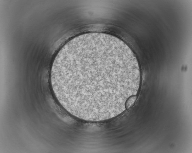 X0000112840297200910021114