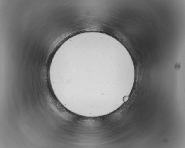 X0000112840298200910021114