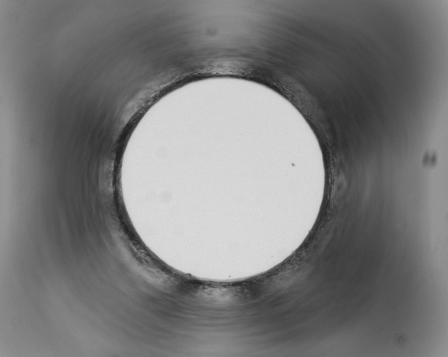 X0000112840299200910021114