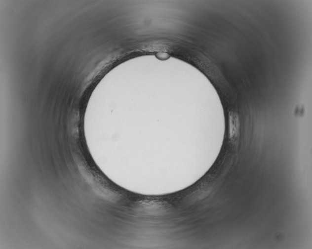 X0000112840300200910021114