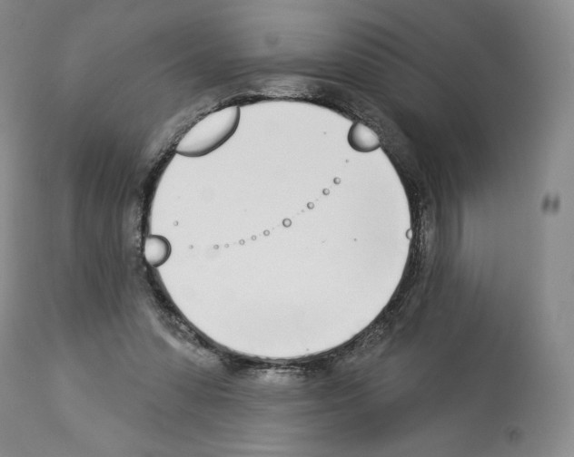 X0000112840303200910021114