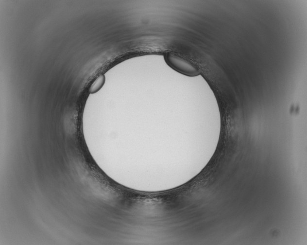 X0000112840304200910021114