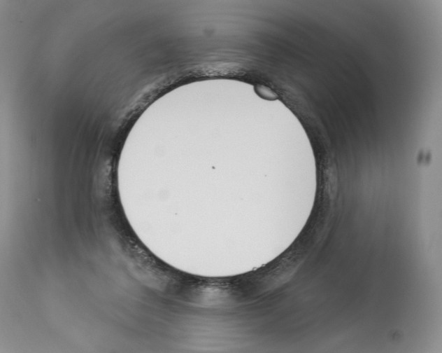 X0000112840308200910021114