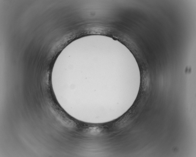 X0000112840310200910021114