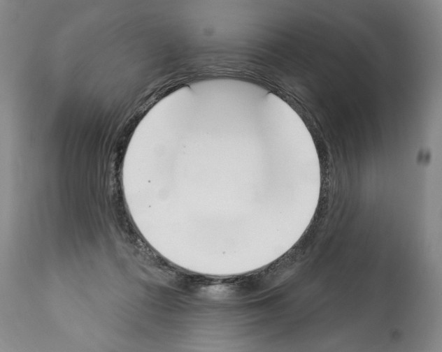 X0000112840312200910021114