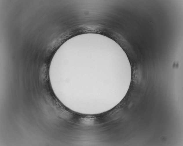 X0000112840318200910021113