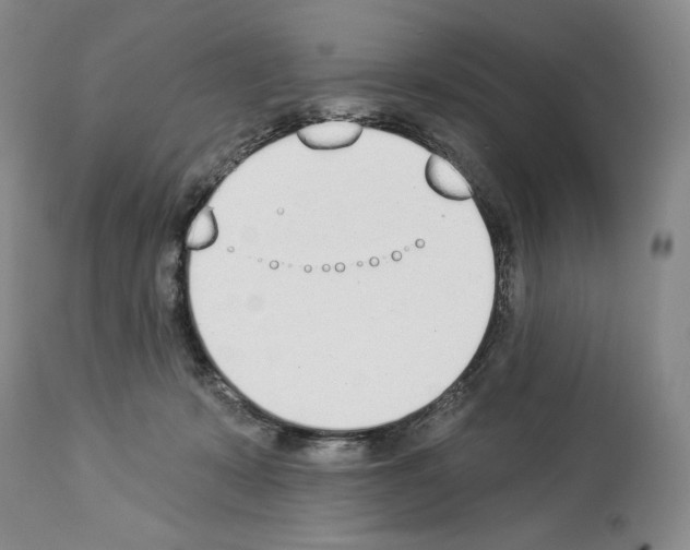 X0000112840319200910021113