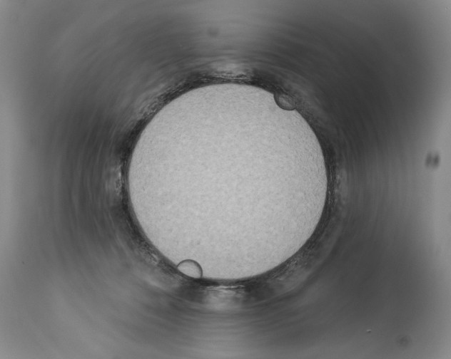 X0000112840320200910021113