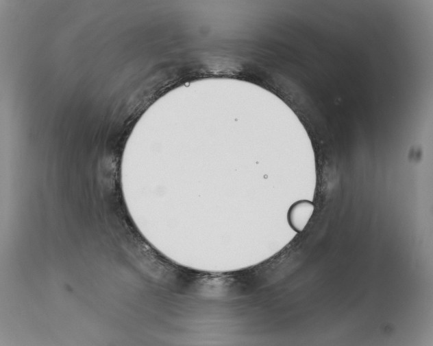 X0000112840321200910021113