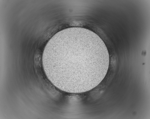 X0000112840322200910021113