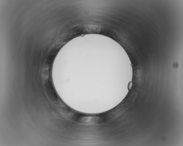 X0000112840323200910021113