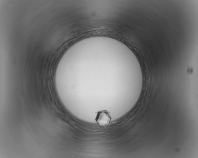 X0000112840324200910021113