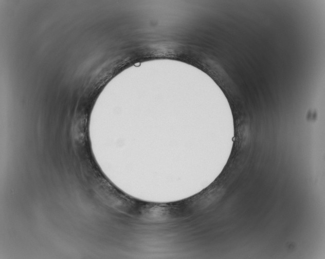 X0000112840325200910021113