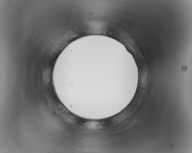 X0000112840326200910021113