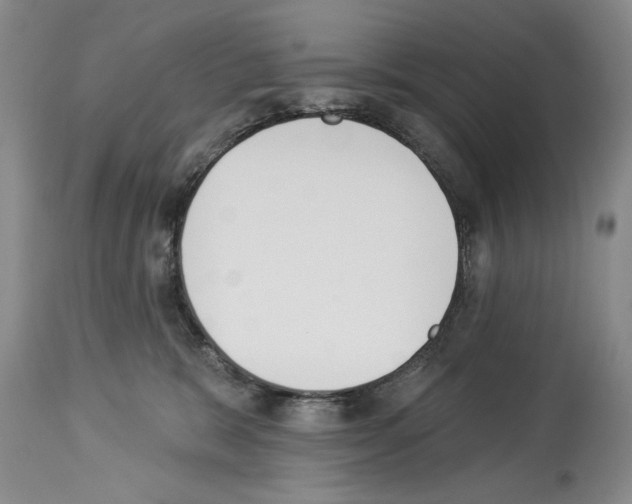 X0000112840327200910021113