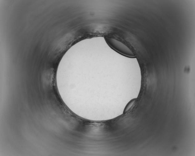 X0000112840328200910021113