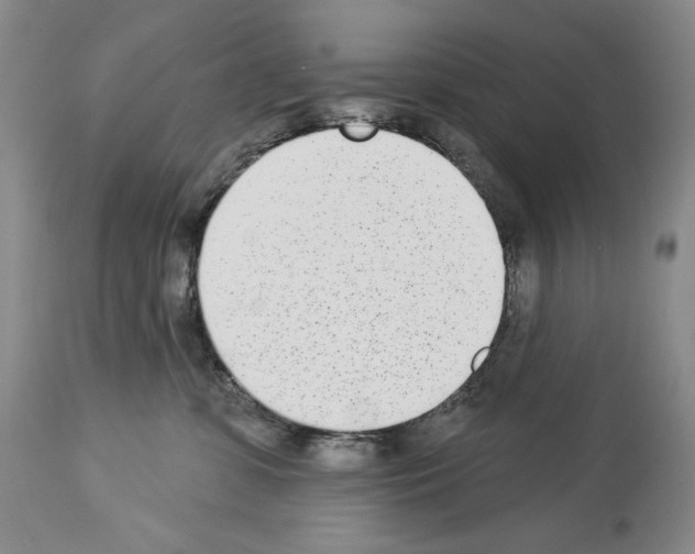 X0000112840331200910021113